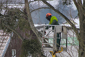 Tree expert in a bucket truck providing emergency tree service in Smithville