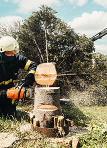 Tree service in Smithville professional performing tree removal